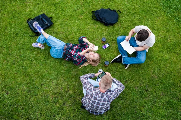 Overhead view of young friends reading book and using smartphones on green grass — Stock Photo