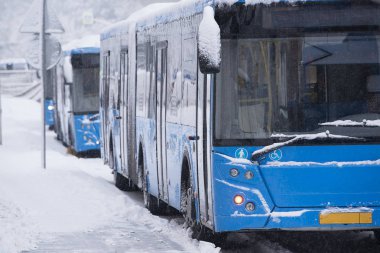 Üç mavi güçlü snegopada giden yolda otobüsler