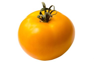 Beyaz arka plan üzerinde izole sarı olgun domates