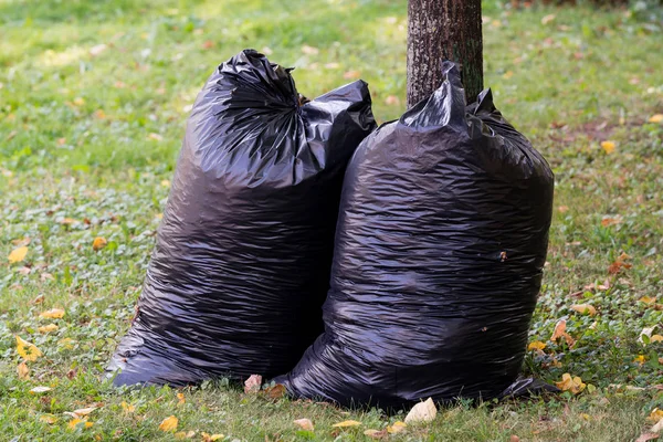 落ち葉で大きな黒いゴミ袋が緑の芝生の公園に木の幹に立つ — ストック写真