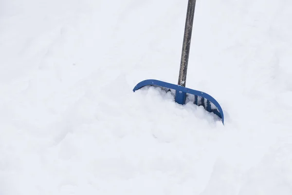 Πλαστικό Φτυάρι Για Χιόνι Κατάργησης Του Μπλε Χρώμα Μέταλλο Χειριστεί — Φωτογραφία Αρχείου