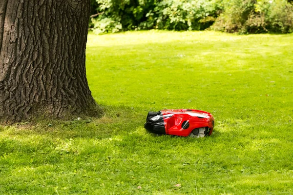 Robot Lawn Mower Well Groomed Green Lawn — Stock Photo, Image