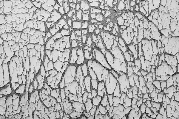 Pared Madera Cubierta Con Pintura Agrietada Vejez Textura Blanco Negro —  Fotos de Stock