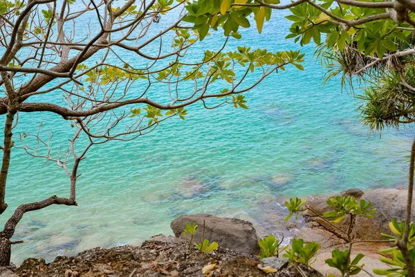 View of the blue sea water and stones through the branches of trees Royalty Free Stock Images
