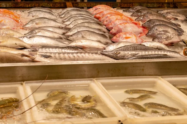 Counter near the restaurant with fresh fish on ice