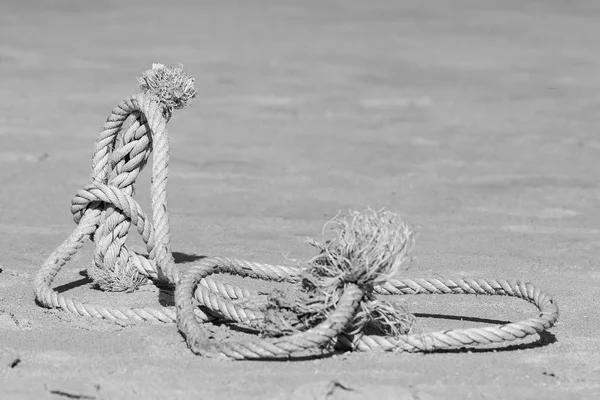 Sea rope lying on the sand, black and white version — Stock Photo, Image