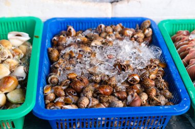 Geleneksel taze deniz ürünleri pazarında taze salyangozlar, Tayland