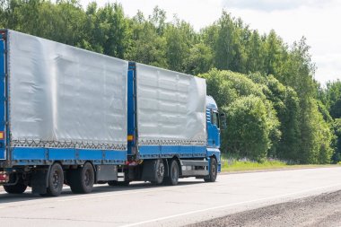 Mavi teslimat van ve beyaz kamyon sonbahar manzara ağaçların hattı arasında asfalt yolda sürüş