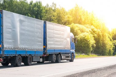 Mavi teslimat van ve beyaz kamyon sonbahar manzara ağaçların hattı arasında asfalt yolda sürüş