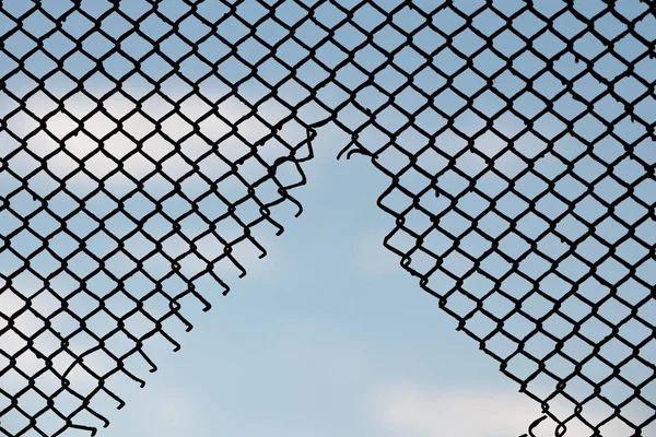 hole in the wire mesh of fence silhouette style