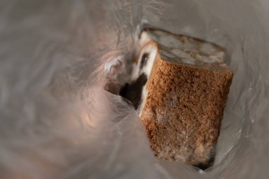 şeffaf bir selofan torbasında küflü çavdar ekmeği yarım somun