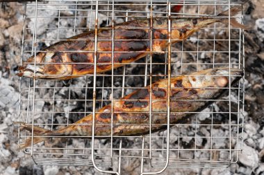 Kömür üzerinde bitki baharatlar ile sıcak uskumru balık ızgara tava üzerinde ateş