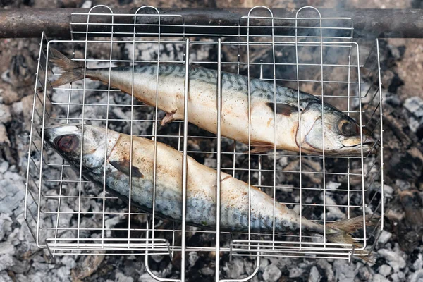 Makrely čerstvé a chutné grilované při požáru na zahradní party — Stock fotografie