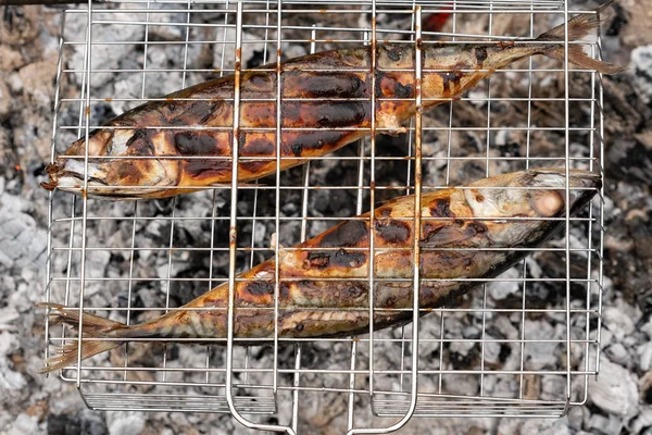 Kömür üzerinde bitki baharatlar ile sıcak uskumru balık ızgara tava üzerinde ateş