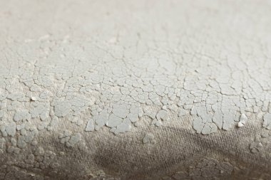 Arka plan cilt dokusu, çatlaklar ile yapay çevre dostu, hayvan koruma, beyaz