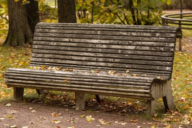 Parkta büyük ağaç, vintage tarzı görüntü altında tezgah