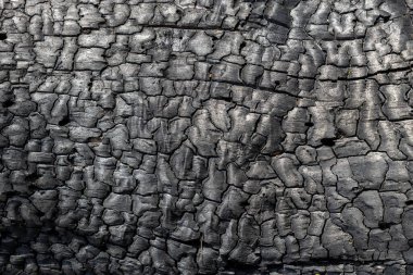 Yanmış ahşap dokusu, yüksek çözünürlük