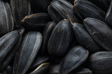 Siyah ayçiçeği tohumları. Doku veya arkaplan için kapat