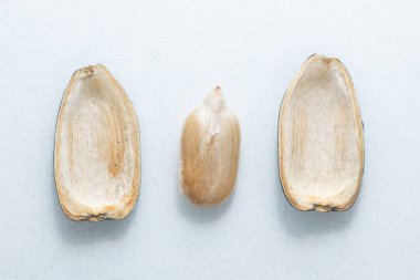 Beyaz arkaplanda siyah ayçiçeği tohumları