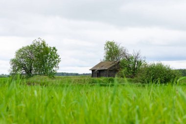 Yeşil bir çayırda küçük ahşap bir ev duruyor..