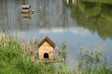 Göldeki bir salda ahşaptan yapılmış eski bir ördek evi.