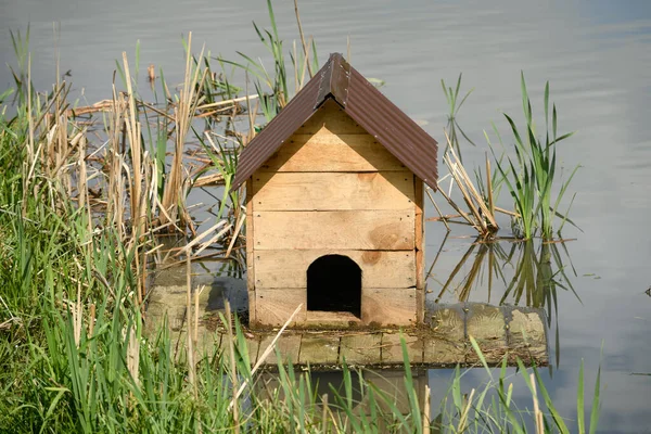 Vieille Maison Canard Bois Sur Radeau Sur Étang — Photo