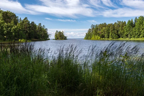 Flora ve fauna Valaam Bay Adası. Valaam arazi kayalık kıyılarında Ladoga Gölü gür suların üzerinde yükselmesi, rahat ve sessiz parçası olduğunu