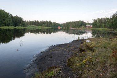 Taş sahile ve gölün dibinde yaşam bitkilerin sert koşulları konuşuyor. Valaam arazi kayalık kıyılarında Ladoga Gölü gür suların üzerinde yükselmesi, rahat ve sessiz parçası olduğunu
