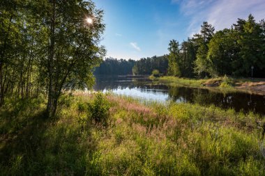 The raging vegetation of the island is inseparable from the lake. Valaam is a cozy and quiet piece of land, the rocky shores of which rise above the lush waters of lake Ladoga clipart