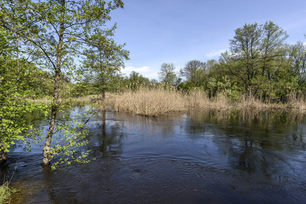 Река после застройки вошла в её берега, но течение всё ещё быстрое. Весеннее настроение в лесу, непроходимые дороги после разлива реки, поют молодые зелень и птицы, разворачивается новая жизнь

