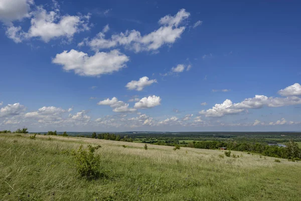 Cielo Azul Alto Con Nubes Sobre Hierba Plumas Estepa Vastas — Foto de stock gratis