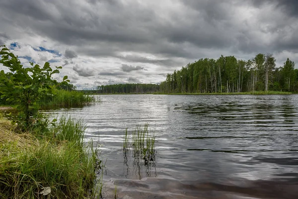 Bohatá Vegetace Jezera Chrání Před Větrem Prachem Velké Jezero Průzračnou — Stock fotografie