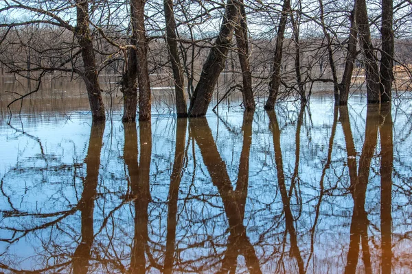 Grande Derrame Rio Água Deixou Margens Encheu Uma Enorme Área — Fotografia de Stock