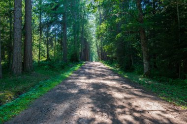 Bir sığır manakhov eller tarafından inşa edilmiş, başka bir yoldan. Harika adanın Valaam göl Lodozhskoye, Karelya üzerinde yer alır. Balam - cennete bir adım
