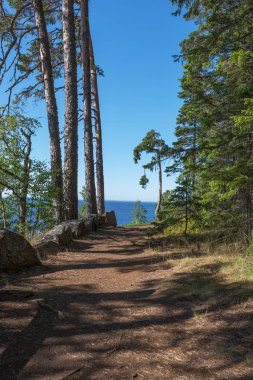 Alexander Svirsky_1 skete kıyısında. Harika adanın Valaam göl Lodozhskoye, Karelya üzerinde yer alır. Balam - cennete bir adım