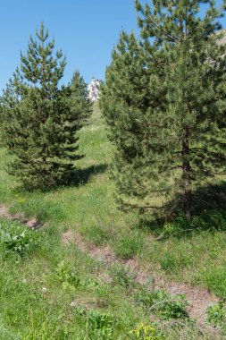 Köknar ağaçları arasında Kretase tapınağı. Kostomarovsky manastırı, kretase dağlarının arasında, şifalı otlar açısından zengin, büyüleyici ve gizemli bir bölgede yer almaktadır..