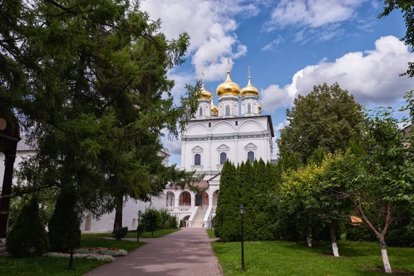 Храм Куполами Ємні Хмари Ялина Газон Горизонтальна Орієнтація Російські Святині — стокове фото