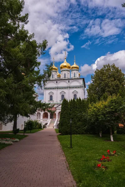 Tempel Mit Kuppeln Volumetrischen Wolken Fichte Und Rasen Vertikale Orientierung — Stockfoto