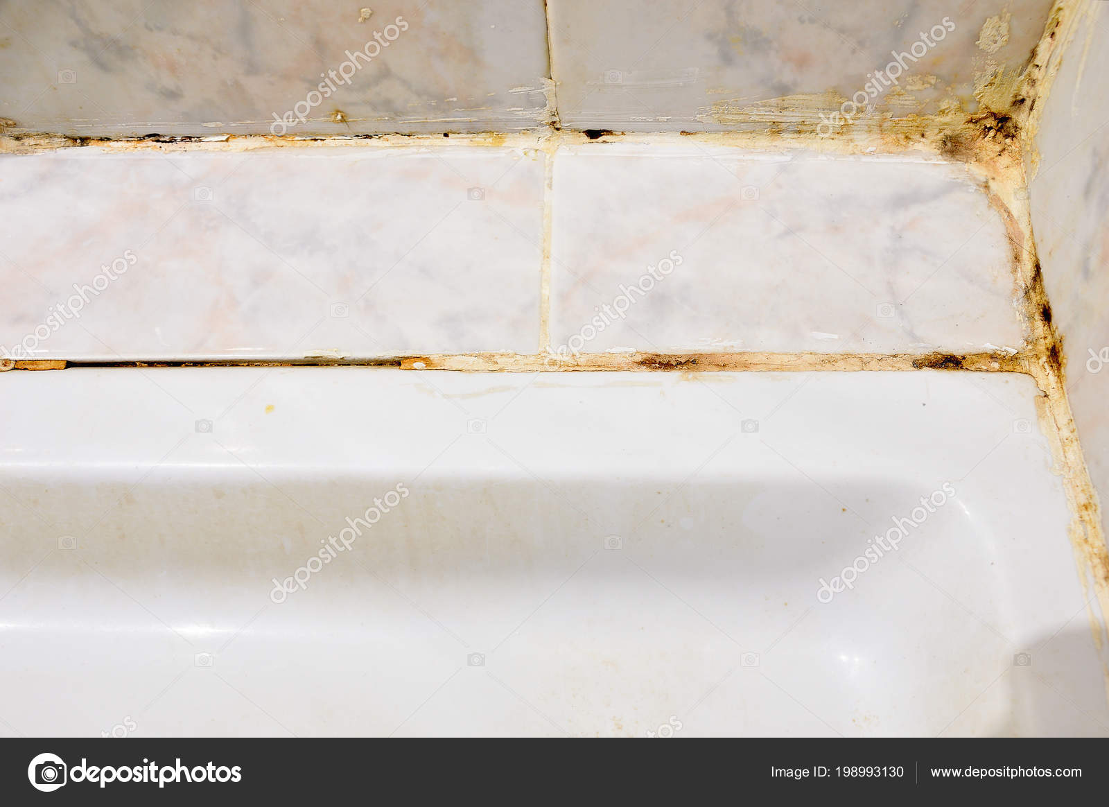 Disgusting Home Shower Bathroom Tile, Bathroom Tile Sealer