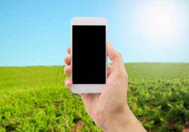 İspanya mahzeninde bir akıllı telefon kadar tutan bir el