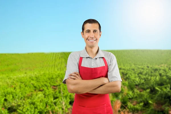 Портрет Счастливого Фермера Позирующего Скрещенными Руками Винограднике Испании — стоковое фото