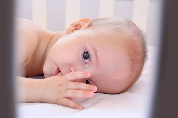 Schnappschuss Eines Entzückenden Jungen Beim Mittagsschlaf — Stockfoto