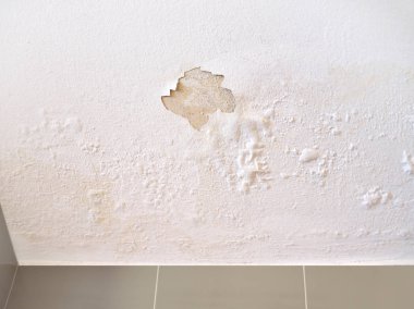 Ceiling panels damaged as a moisture in the roof from rainwater leakage. clipart