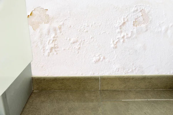 モダンなキッチンの壁に湿気による被害 — ストック写真