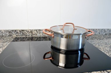 İndüksiyon mutfak at ile pişirme