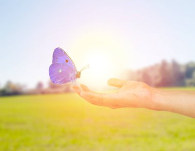 Güzel kelebek doğa adlı bir kadın elde
