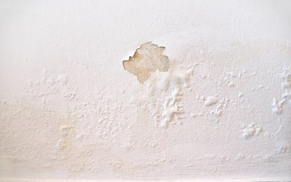 Fuites Eau Pluie Sur Mur Causant Des Dommages Pelant Peinture — Photo