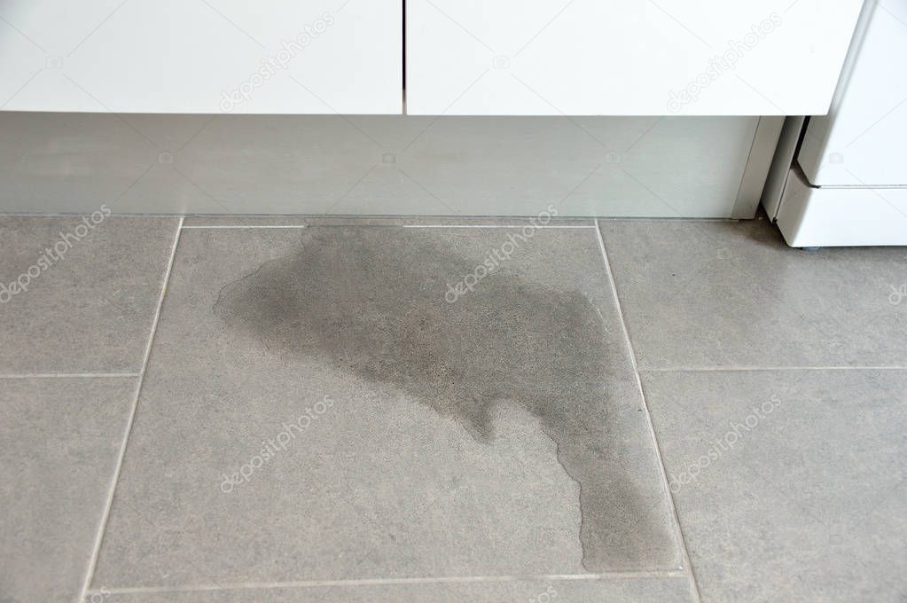 Close-up Photo Of Flooded Floor In Kitchen From Water Leak