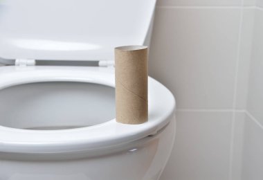 tuvalet, tuvalet kağıdına yakın çekim