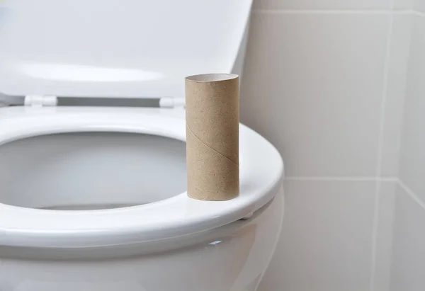 Toilet Paper Toilet Close — Stock Photo, Image